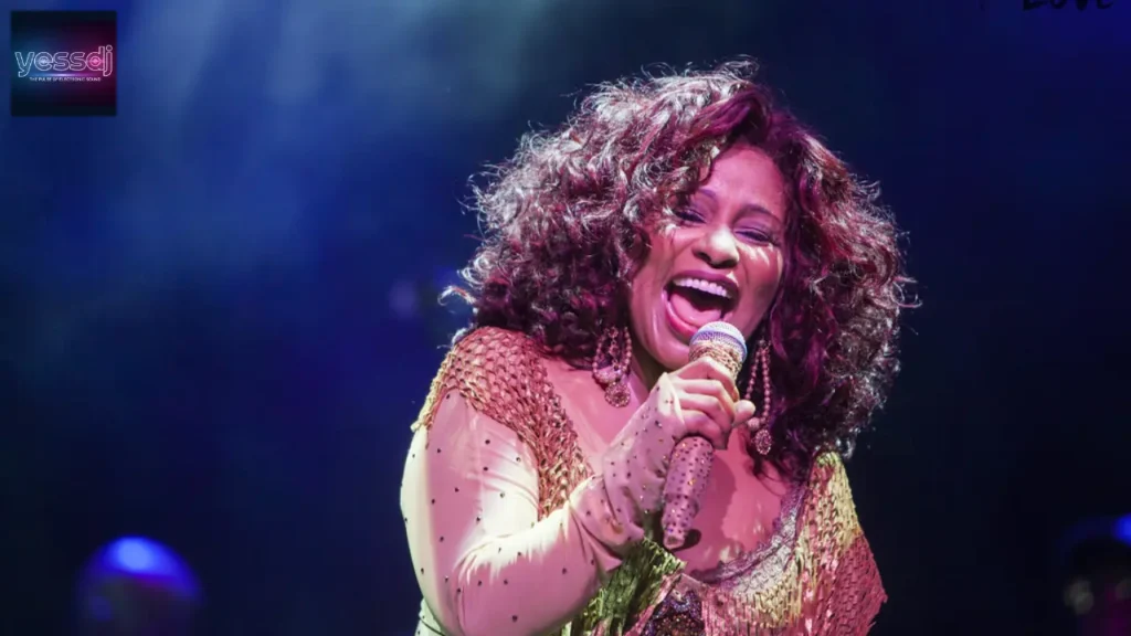 Chaka Khan: Biografia Completa, Carreira e Legado Musical 9 Chaka Khan