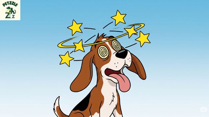 Quando os sintomas de doença em cães exigem urgência veterinária