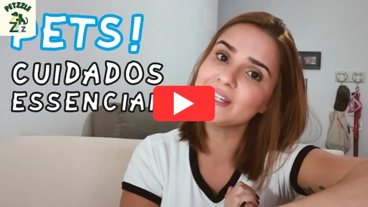 Cuidados essenciais com pets