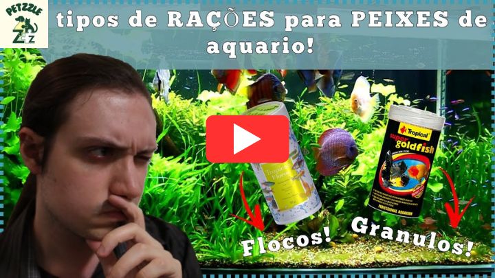 5 tipos de RAÇÕES para PEIXES de aquário!