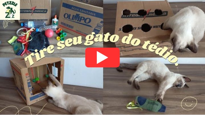 COMO FAZER BRINQUEDOS PARA GATOS SEM GASTAR NADA