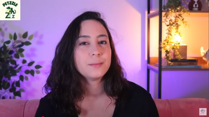 Youtube: 10 Sinais Que Seu Cachorro Está Com Dor