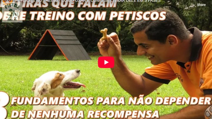 video youtube petisco adestra